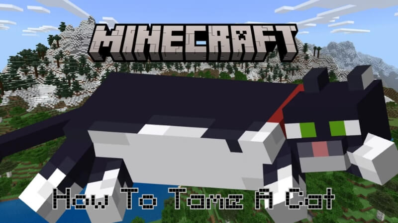 how to tame a cat in minecraft