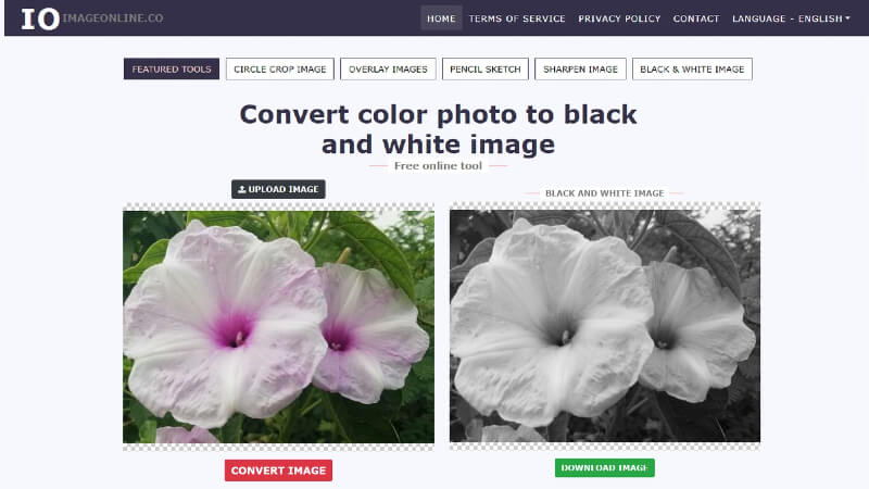 imageonline.co black and white image converter