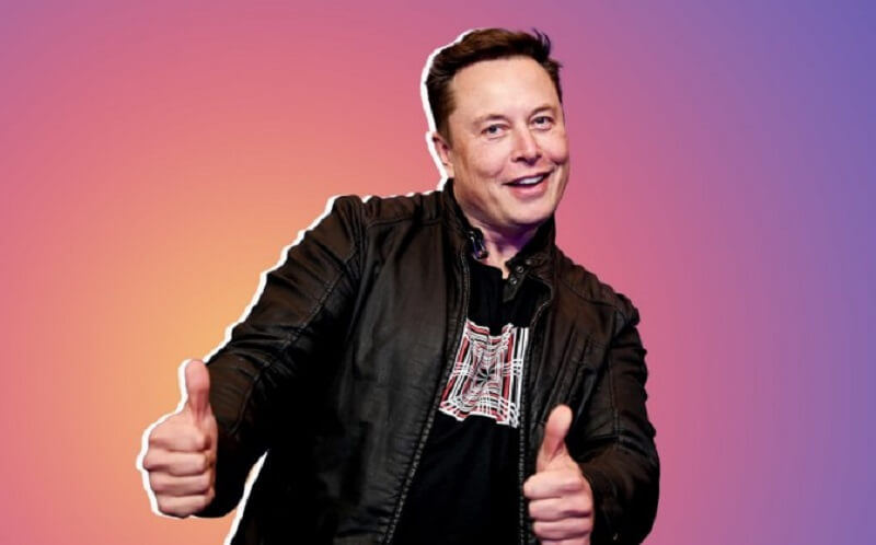 introduction of elon musk