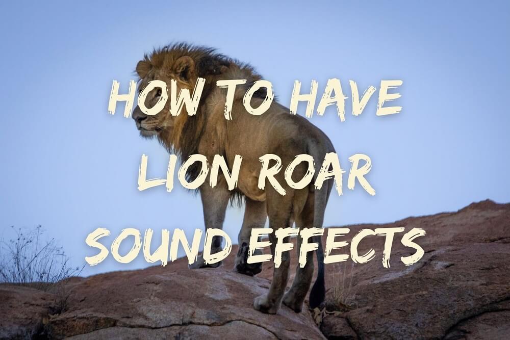 Play Lion's Roar by Sound Effects Only on  Music