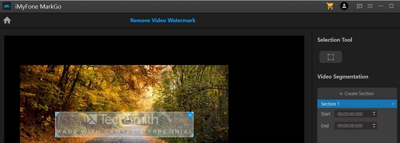 remove camtasia watermark