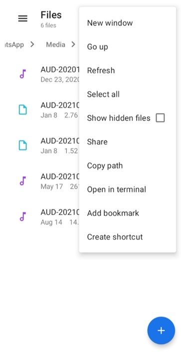 material files show hidden files