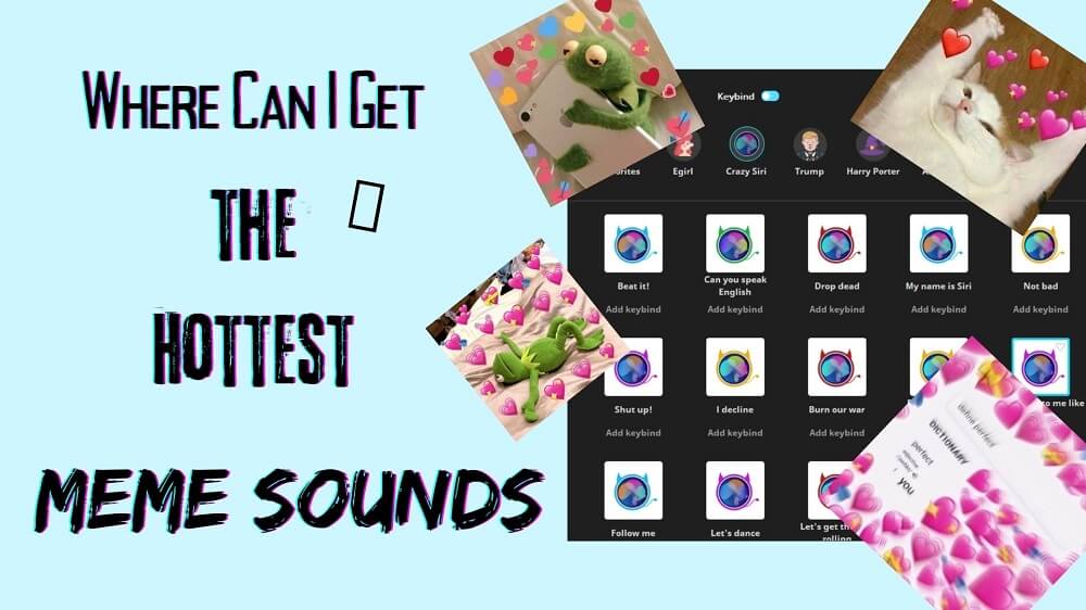 SoundBoardGuy - The Best Meme Sounds & Prank Soundboard