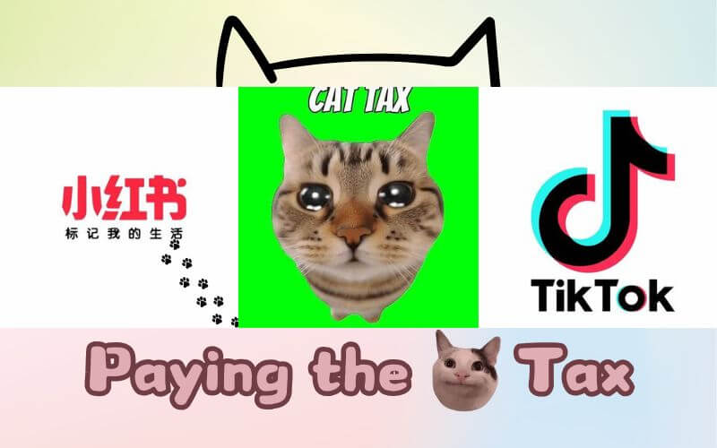 paying the cat tax