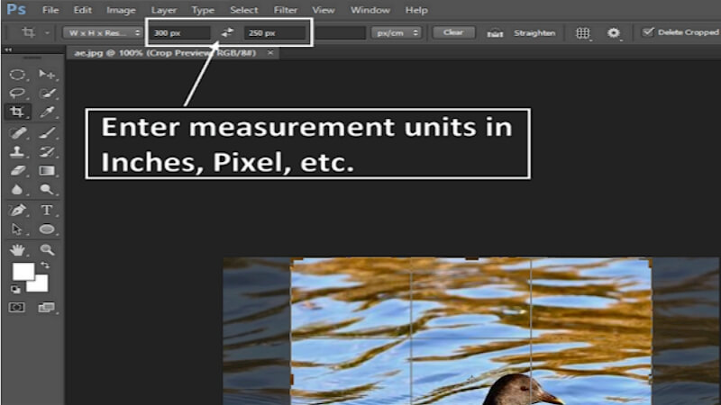 photoshop crop image to a specific size guide4