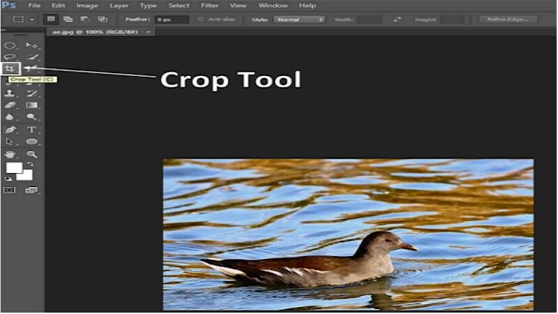 photoshop crop tool to crop image guide2