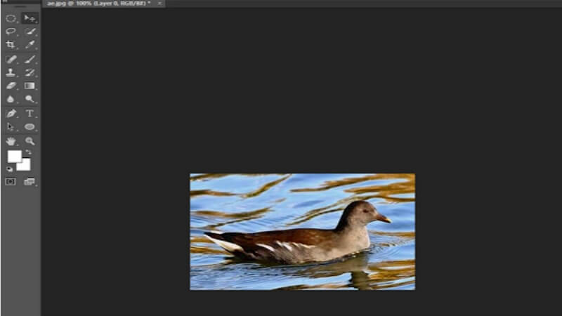 photoshop crop tool to crop image guide4