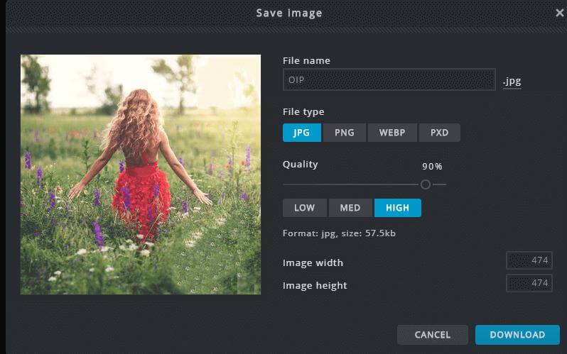 6 Free Ways to Remove Watermark from JPG/PNG/GIF Online