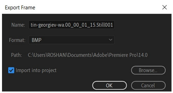 premiere pro export frame settings