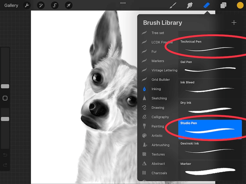 How to Remove Background from Picture on Procreate