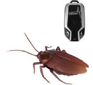 remote-control-cockroaches