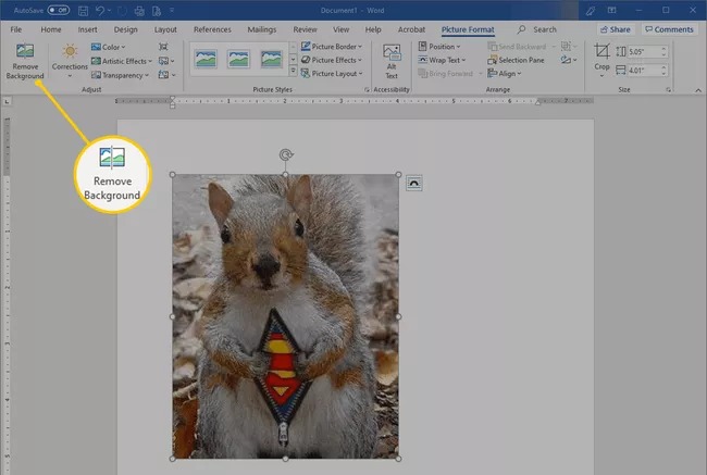 remove image background in word