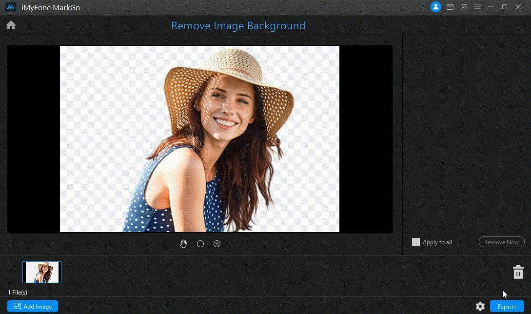 remove watermark for beauty using markgo
