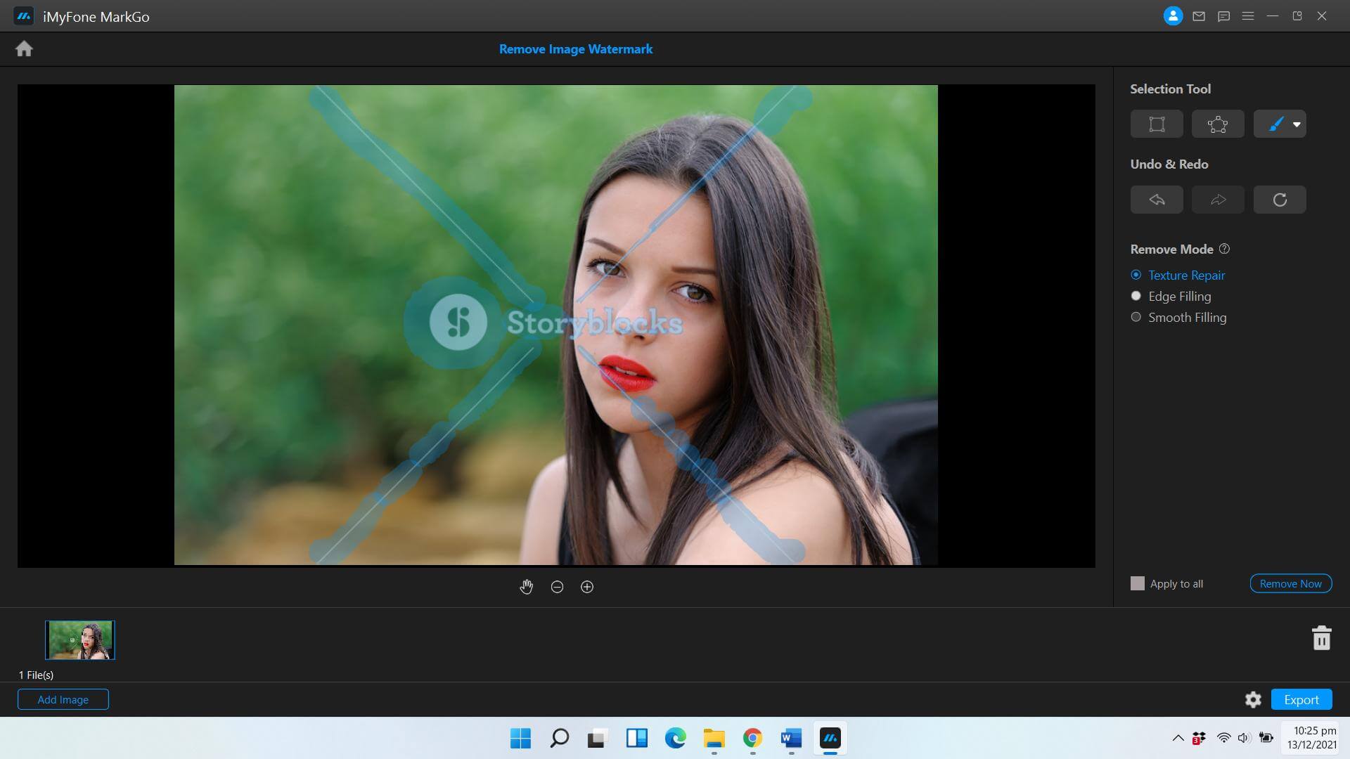 photo watermark software free download full version