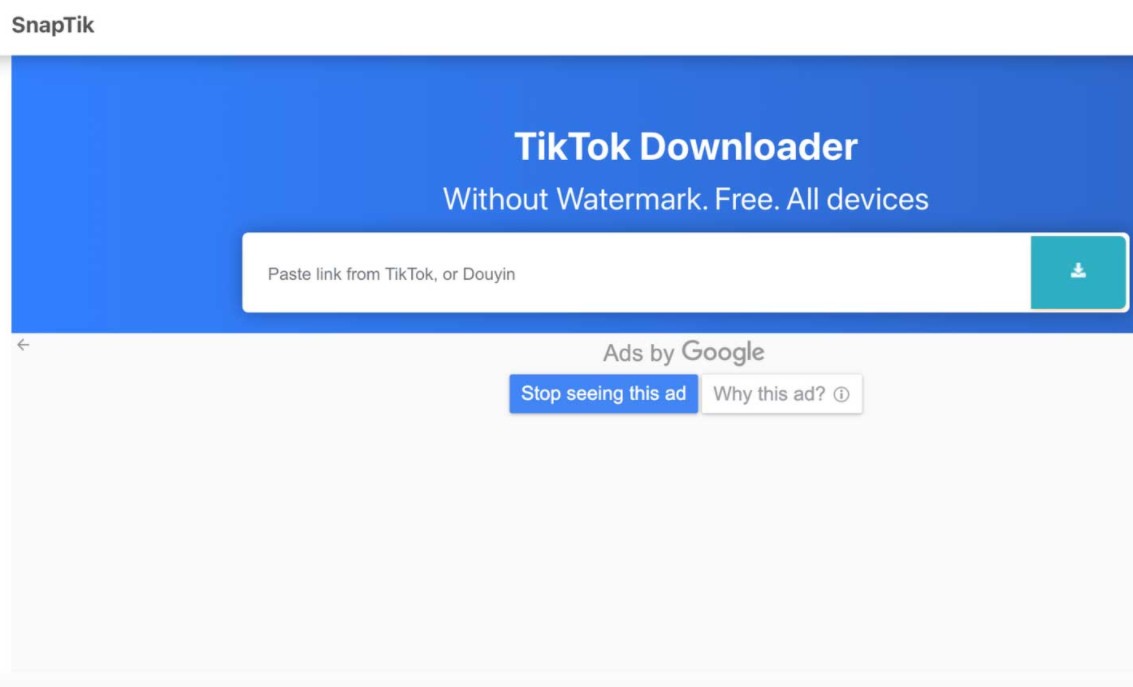 remove tiktok watermark online