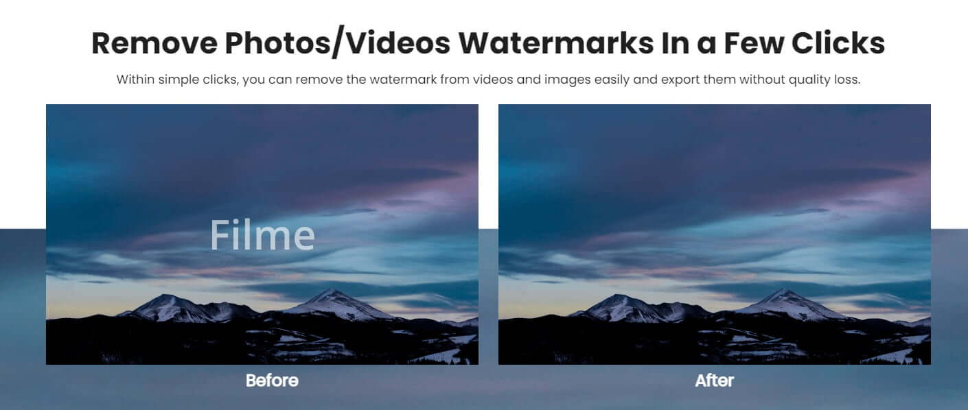 watermark remover in videos