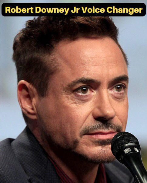 robert downey jr