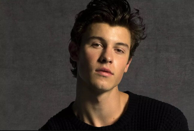 shawn mendes