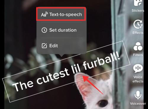 tiktok text to speech option