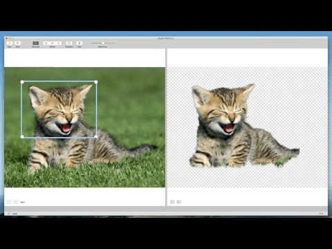 using-ai-remove-image-background-markgo