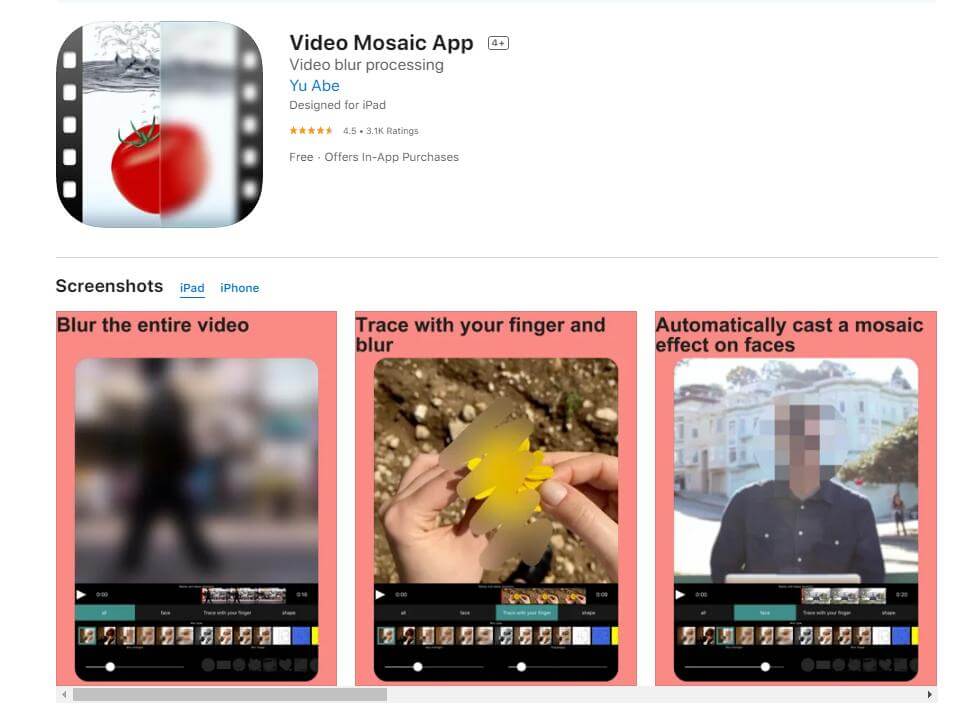 video mosaic app