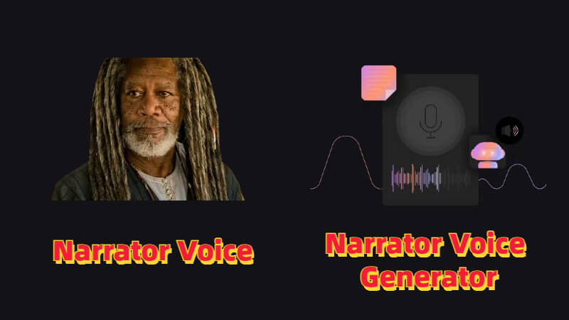 what is narrative voice
