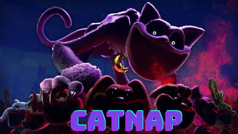 who is catnap