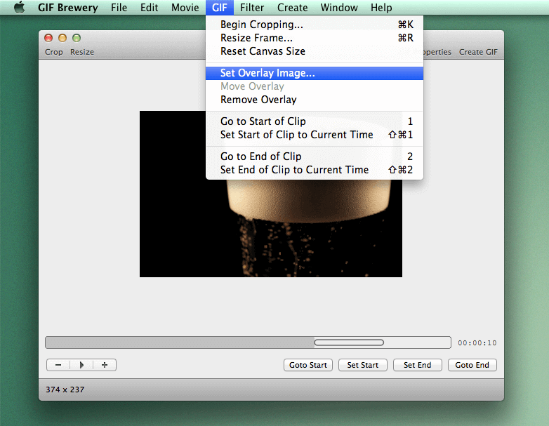 add gif to video GIF Brewery overlay