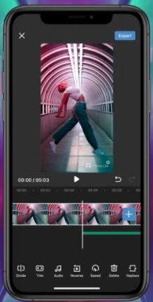 CapCut_dayz mobile a droid