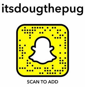 doug snapcode