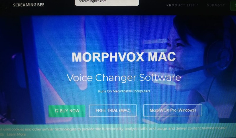 download the morphvox