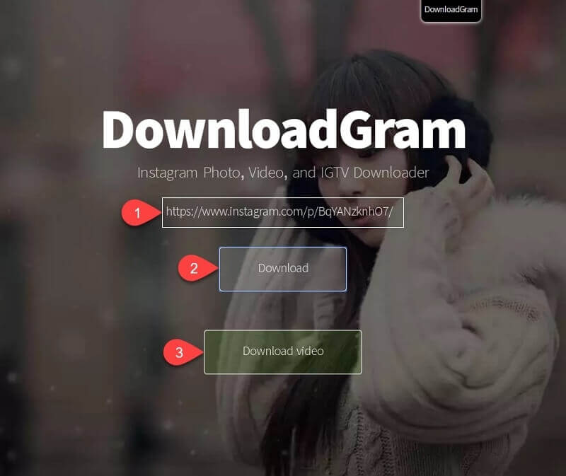 Instagram Video Downloader Downloadgram