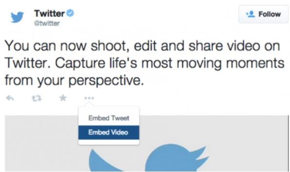 embed twitter video option