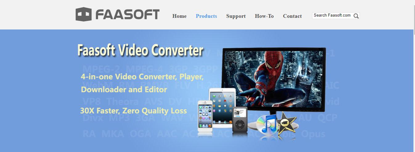 faasoft video converter