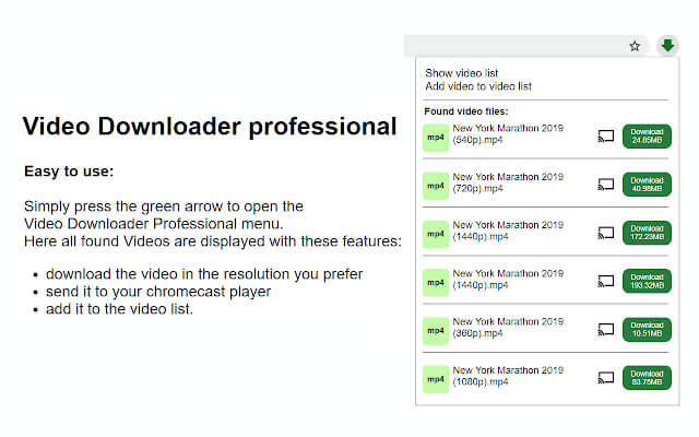 video downloader proffestional