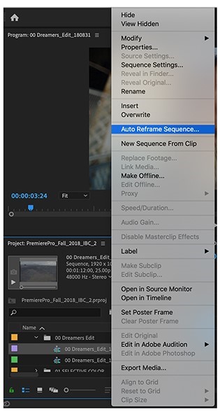 how to resize scale video in premiere 4