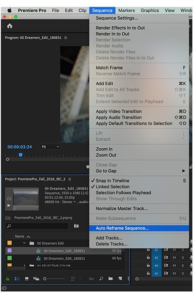 how to resize scale video in premiere 5