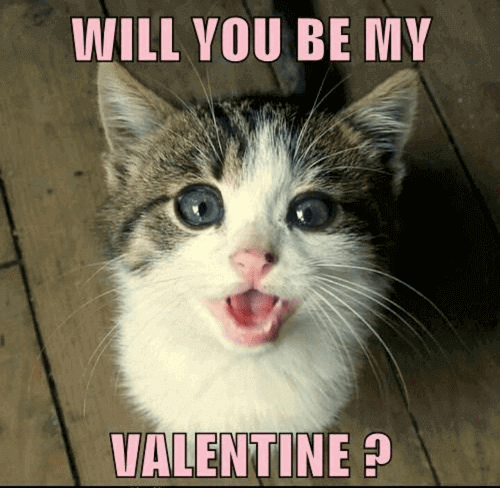 Funny Valentines Harry Potter Meme GIF