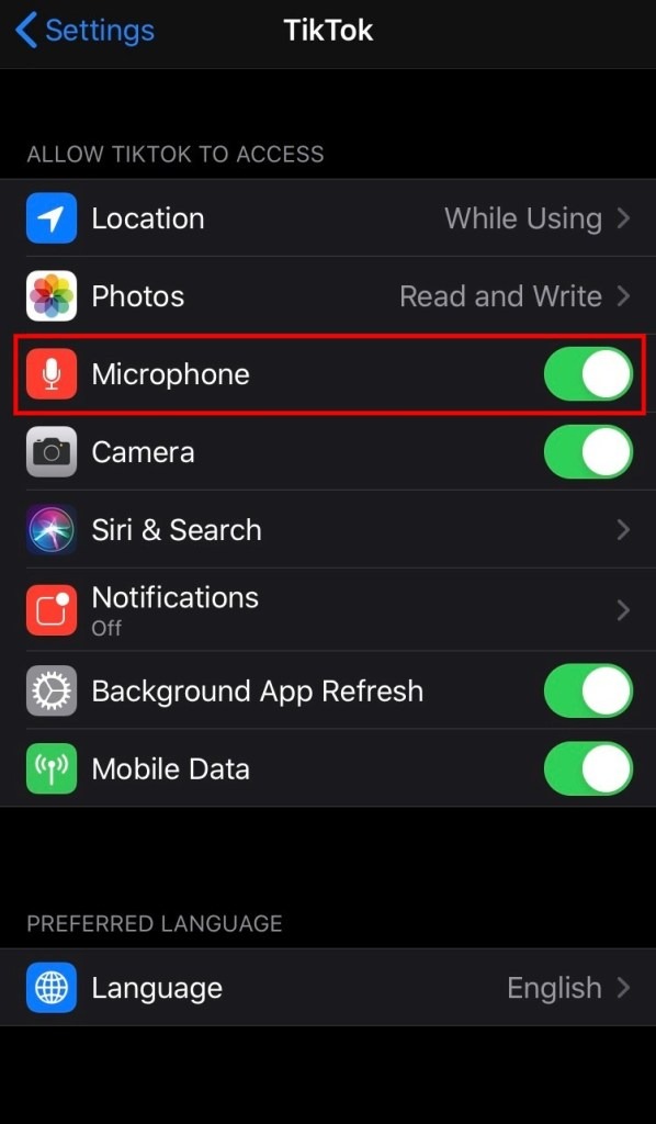 mic-access-ios-tiktok