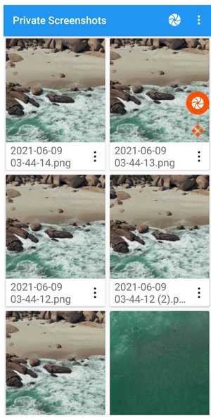 private screenshot app