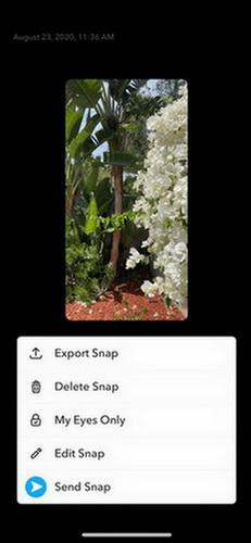 save snapchat videos option your video