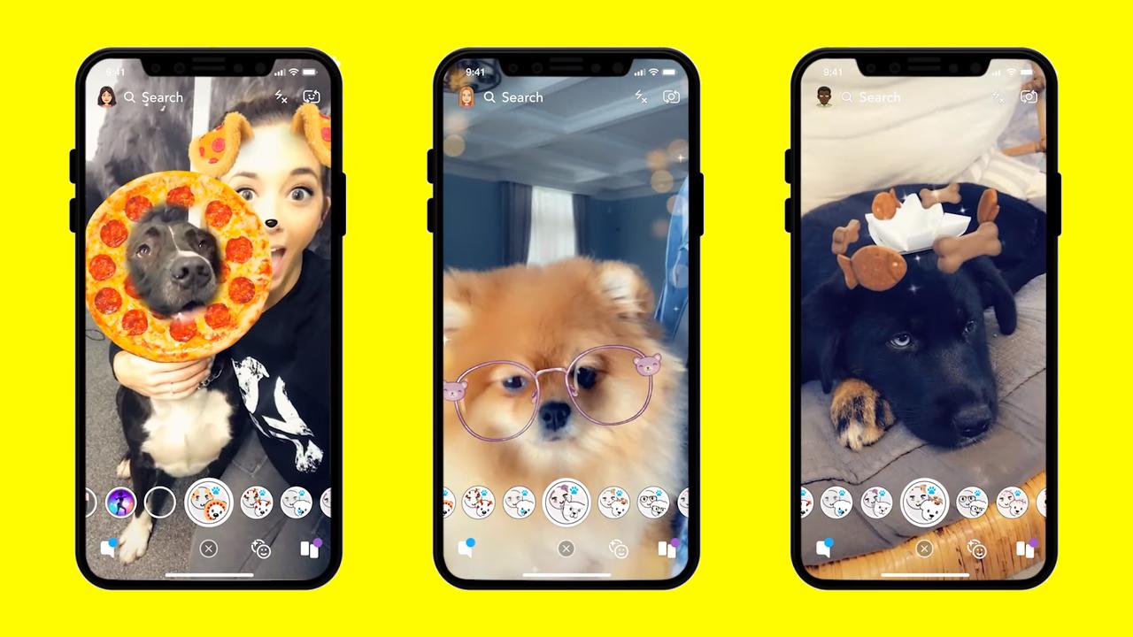 FREE Pet Snapchat Geofilter Templates & Examples - Edit Online & Download