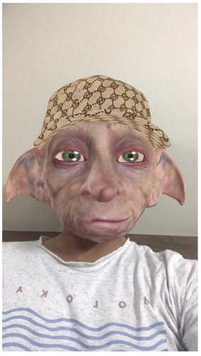 snapchat dobby head filter