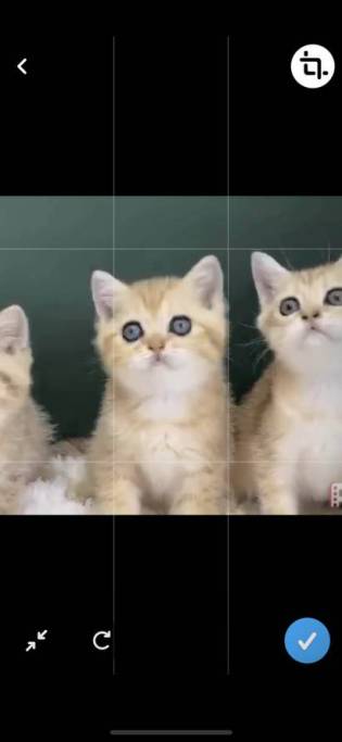 how to crop video using snapchat