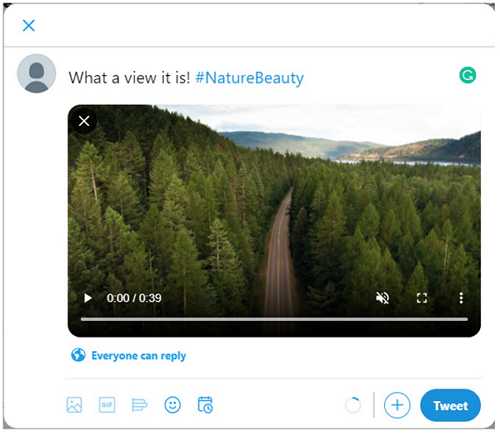 How to Add and Change the Thumbnail for Twitter Video[2024 Guide]