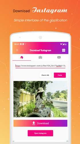 video downloader for instagram