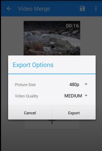 vidtrim export video