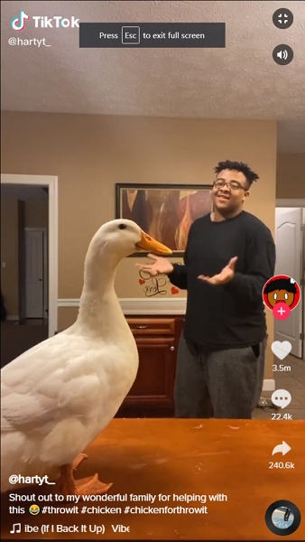 dancing duck tiktok