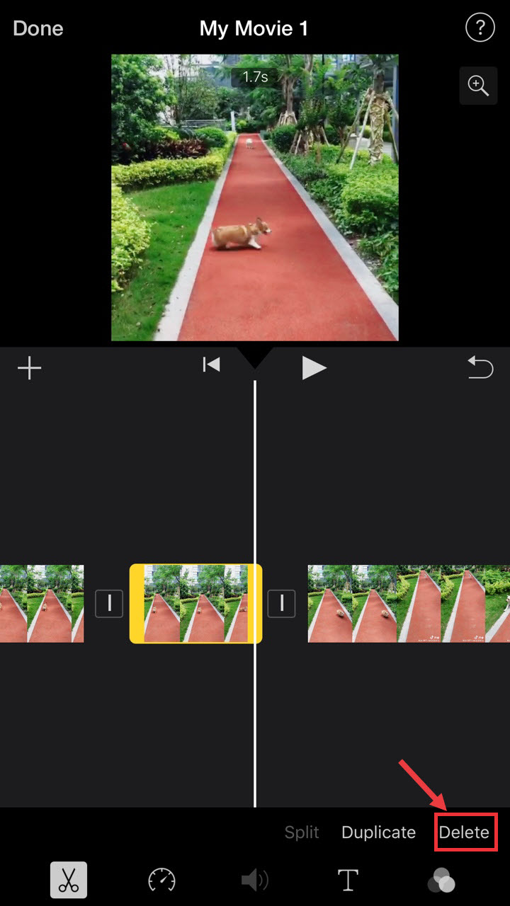 How to Trim a Video on iPhone/iPad [2020 Ultimate Guide]