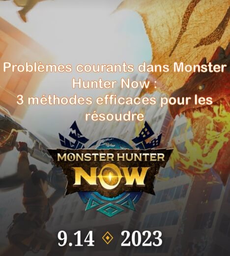 Problèmes rencontrés dans Monster Hunter